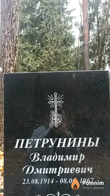 Петрунин Владимир Дмитриевич