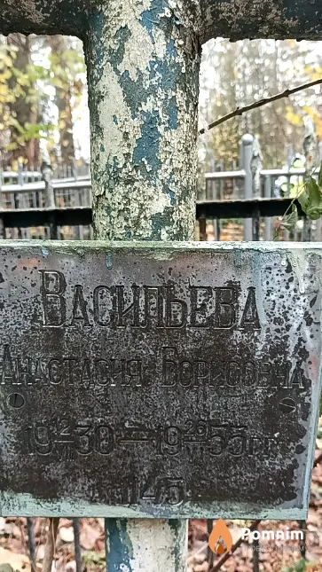 Васильева Анастасия Борисовна