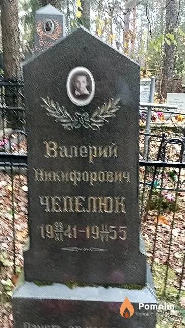 Чепелюк Валерий Никифорович