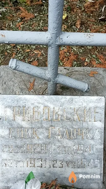 Грибовский Геник