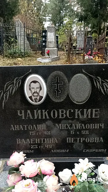 Чайковский Анатолий Михайлович