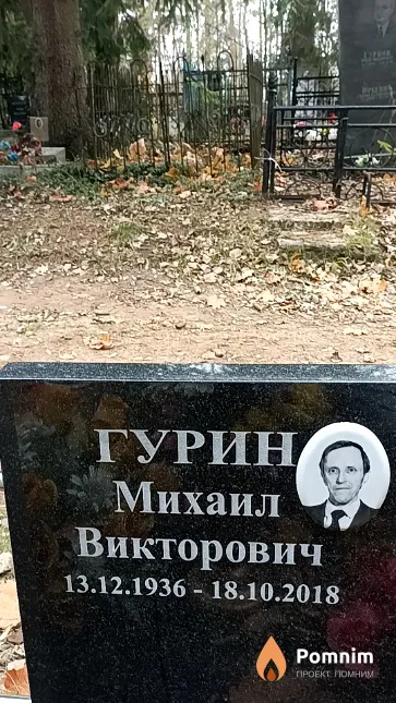 Гурин Михаил Викторович