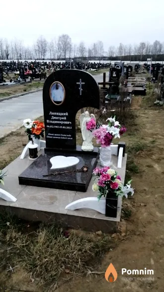 Липицкий Дмитрий Владимирович