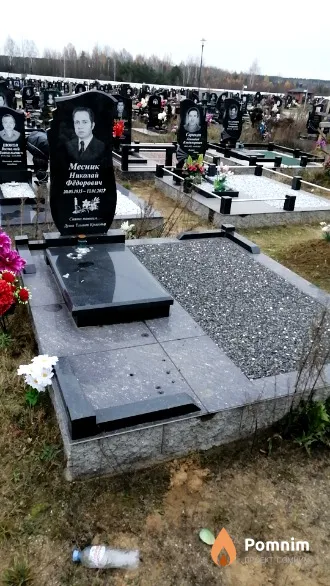 Месник Николай Фёдорович