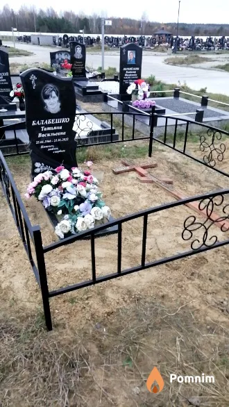 Балабешко Татьяна Васильевна