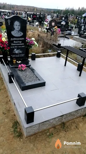 Давидович Виктор Николаевич