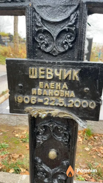 Шевчик Елена Ивановна