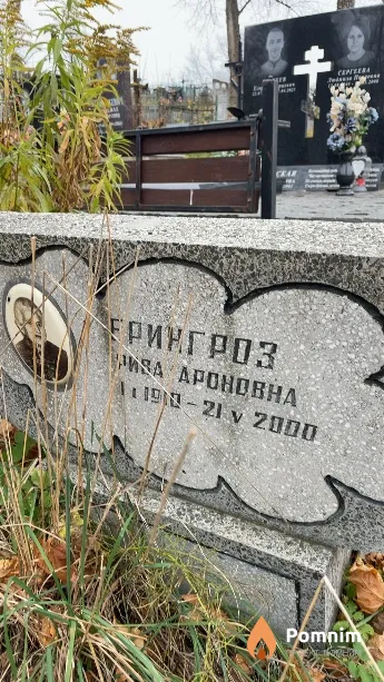 Ерингроз Рива Ароновна