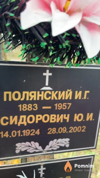 Полянский И Г