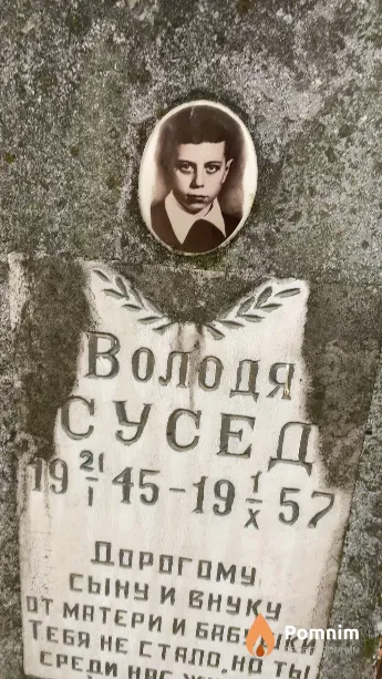 Сусед Володя
