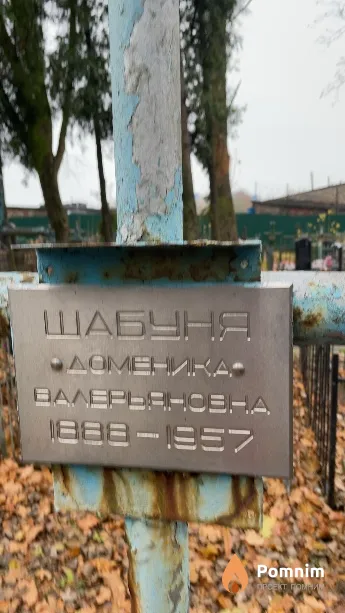 Шабуня Доменика Валерьяновна