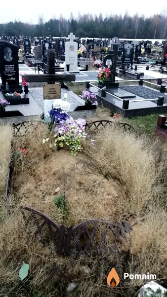 Забело Дмитрий Евгеньевич