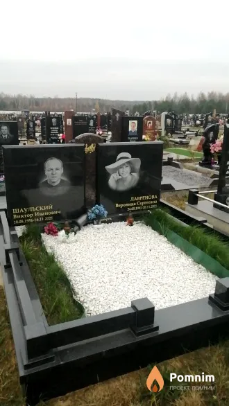 Шаульский Виктор Иванович