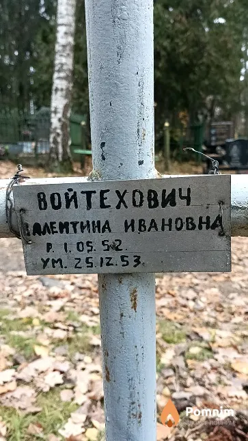 Войтехович Валентина Ивановна