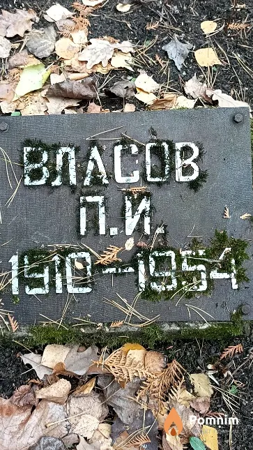 Власов П. И.
