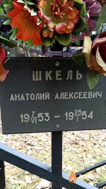Шкель Анатолий Алексеевич