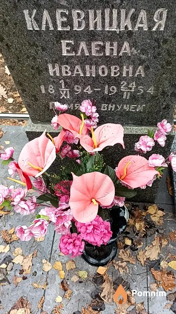 Клевицкая Елена Ивановна