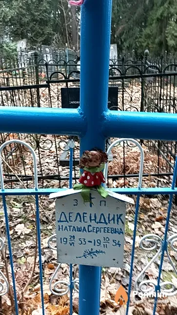 Делендик Наташа Сергеевна