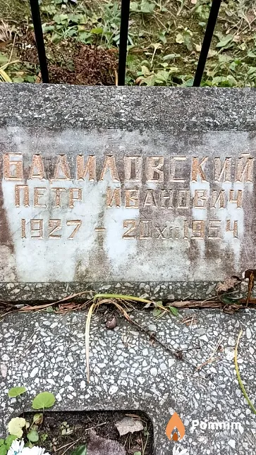 Бадиловский Петр Иванович