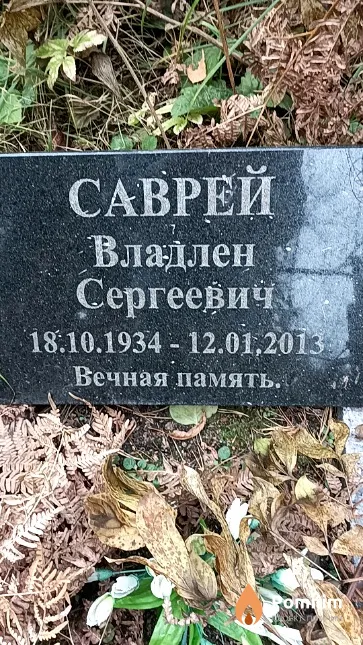 Саврей Владлен Сергеевич