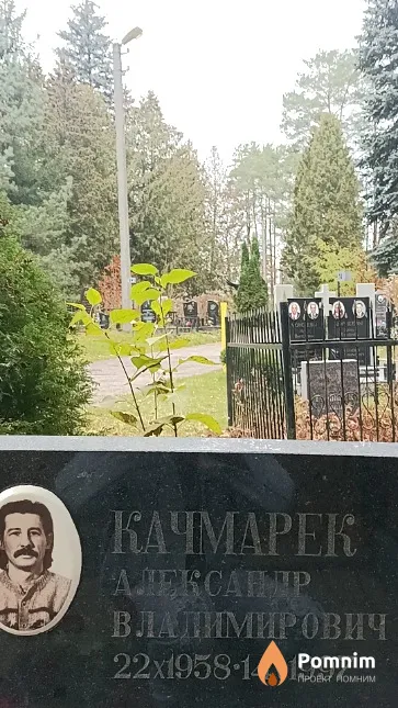 Качмарек Александр Владимирович