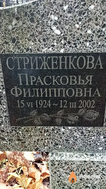 Стриженкова Прасковья Филипповна