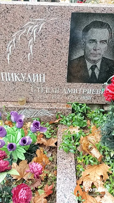 Пикулин Степан Дмитриевич