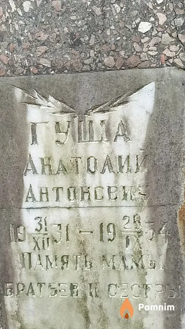 Гуща Анатолий Антонович