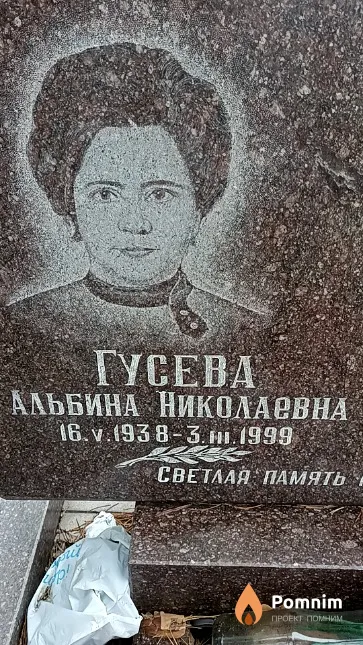 Гусева Альбина Николаевна