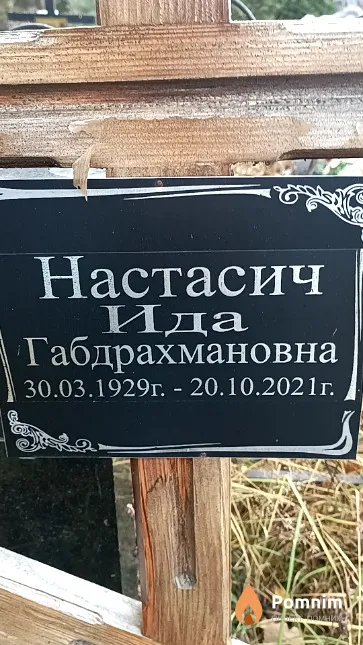 Настасич Ида Габдрахмановна