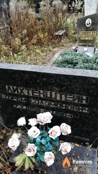 Лихтенштейн Ефрем Соломонович