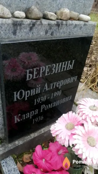 Березин Юрий Алтерович