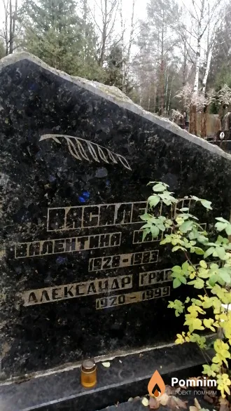 Василевич Александр Григорьевич