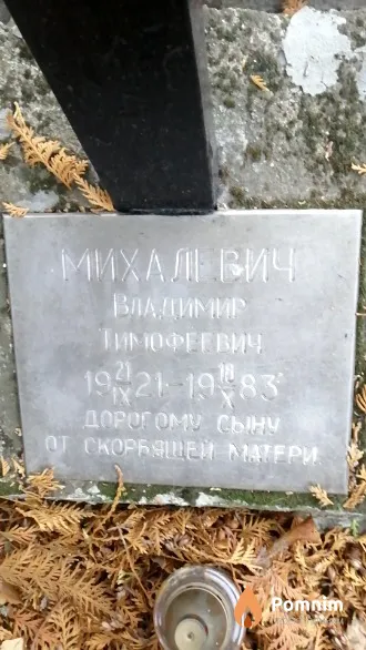 Михалевич Владимир Тимофеевич
