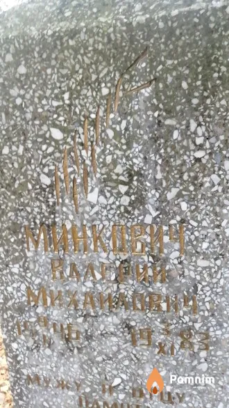 Минкевич Валерий Михайлович