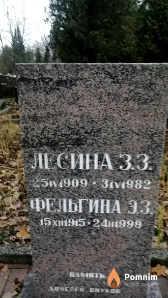 Лесина З