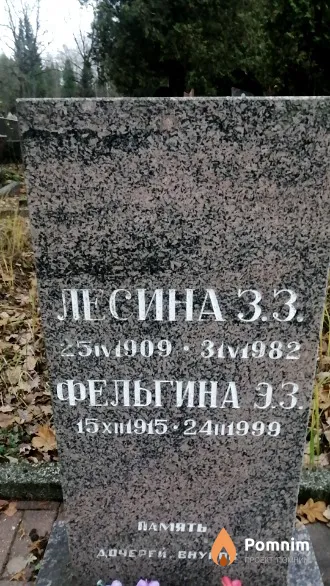 Фельгина Э