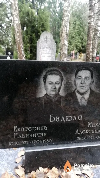 Бадюля Екатерина Ильинична