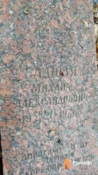 Бадюля Михаил Александрович