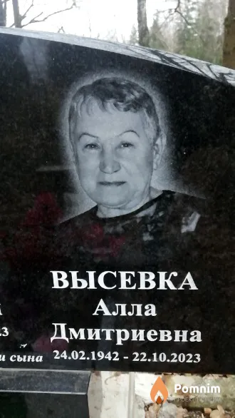 Высевка Алла Дмитриевна