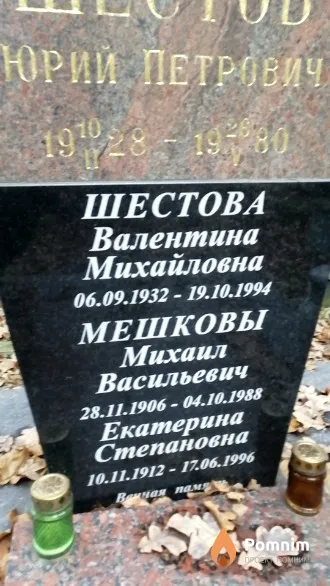 Шестова Валентина Михайловна
