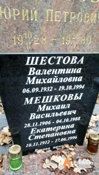 Мешков Михаил Васильевич