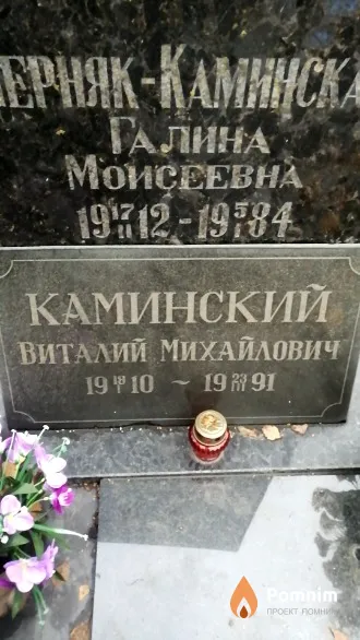 Каминский Виталий Михайлович