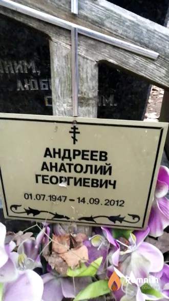 Андреев Анатолий Георгиевич