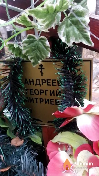 Андреев Георгий Дмитриевич