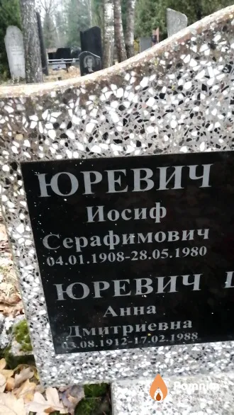 Юревич Анна Дмитриевна