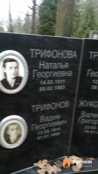 Трифонова Наталья Георгиевна