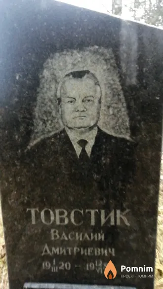 Товстик Василий Дмитриевич