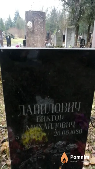 Давидович Виктор Михайлович