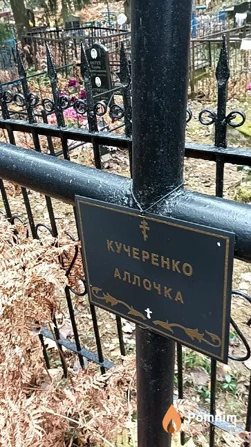 Кучеренко Алла Дмитриевна